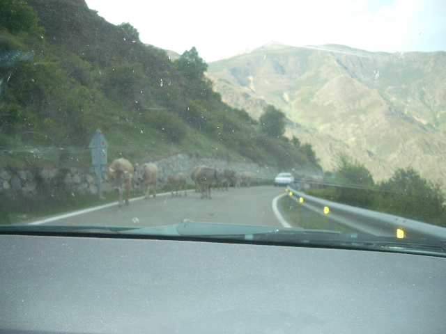 mariëtte nico piratenfrass 303.jpg